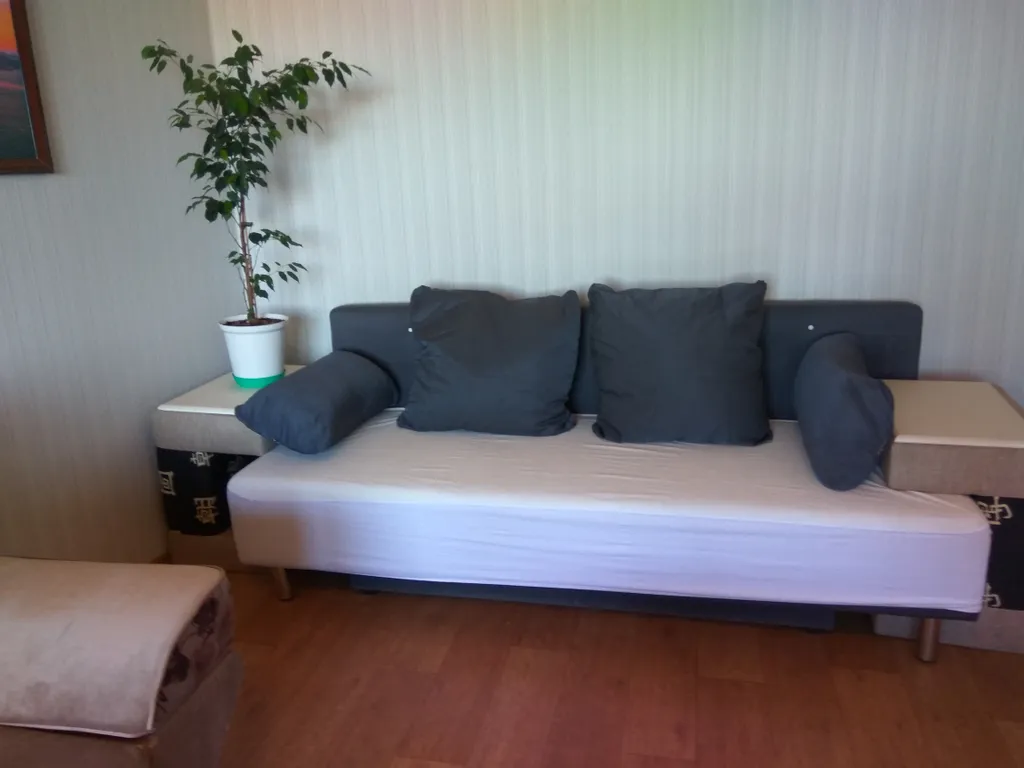 Просторная квартира рядом с Дворцом Единоборств и Аэропарком — аренда посуточно в Брянск