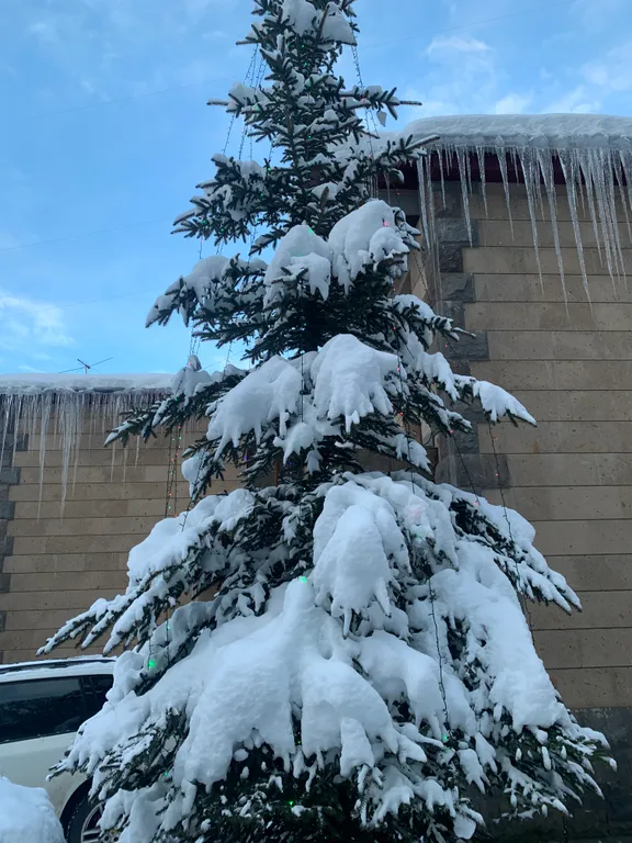 Tsaghkadzor Family Villa