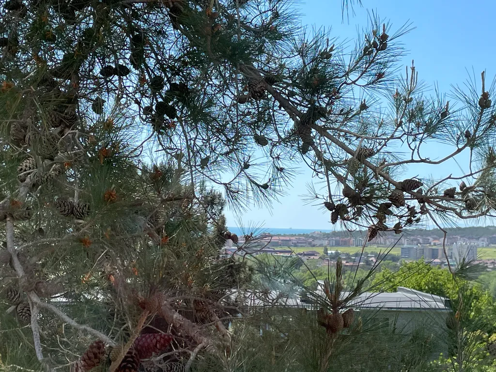 Уютная квартира с видом на горы и море