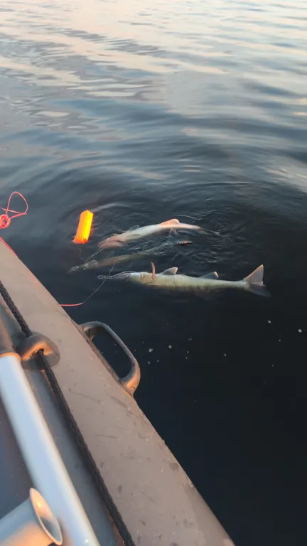 Дом у Причала