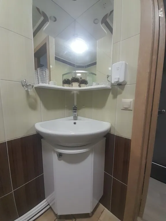 Апартаменты с видом на берёзовый лес