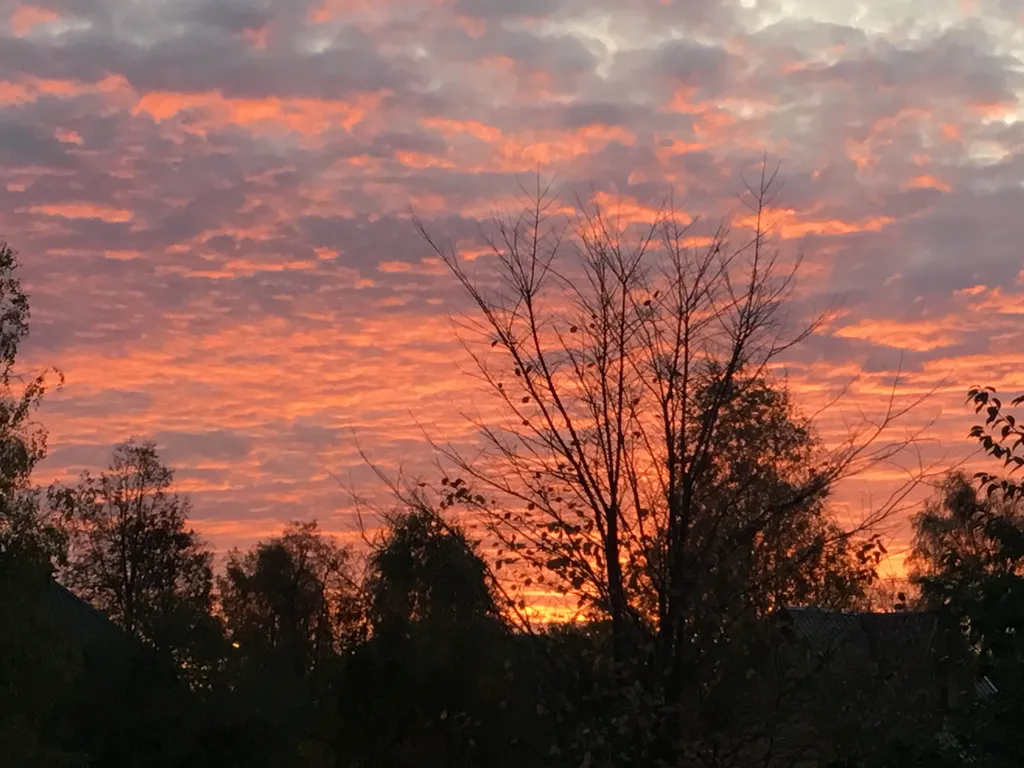 Коттедж Гостевой дом на Истринском водохранилище — Лопотово