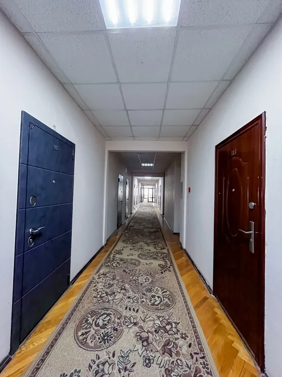 Студия на Светлане