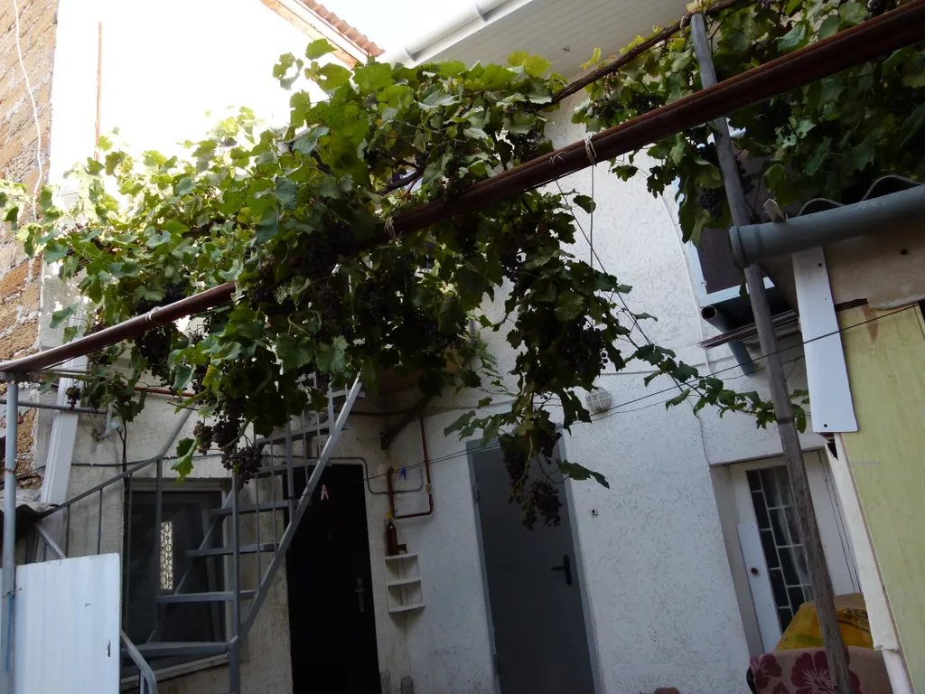 Квартира Летняя гостевая квартира у Моря — Евпатория