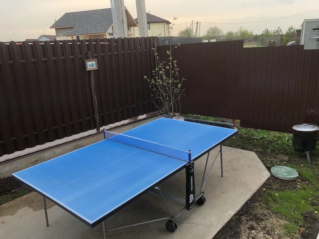 Дом у озера с теннисным столом