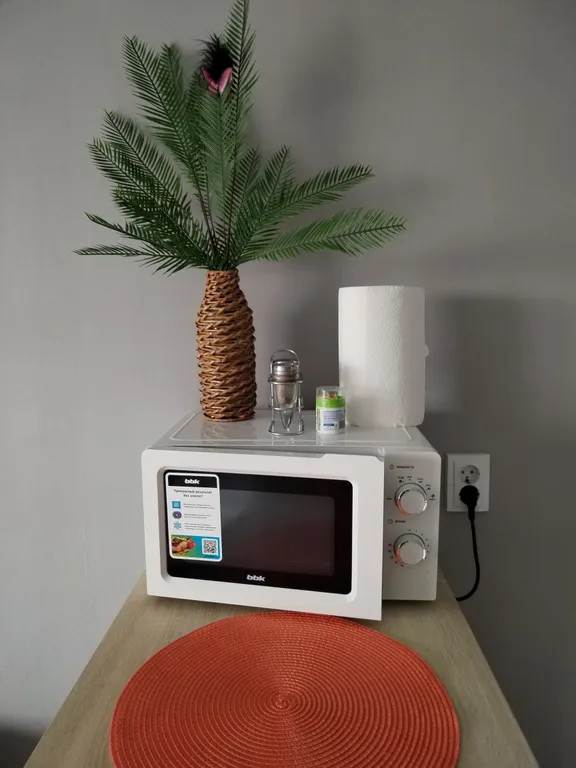 Апартамент с видом на город