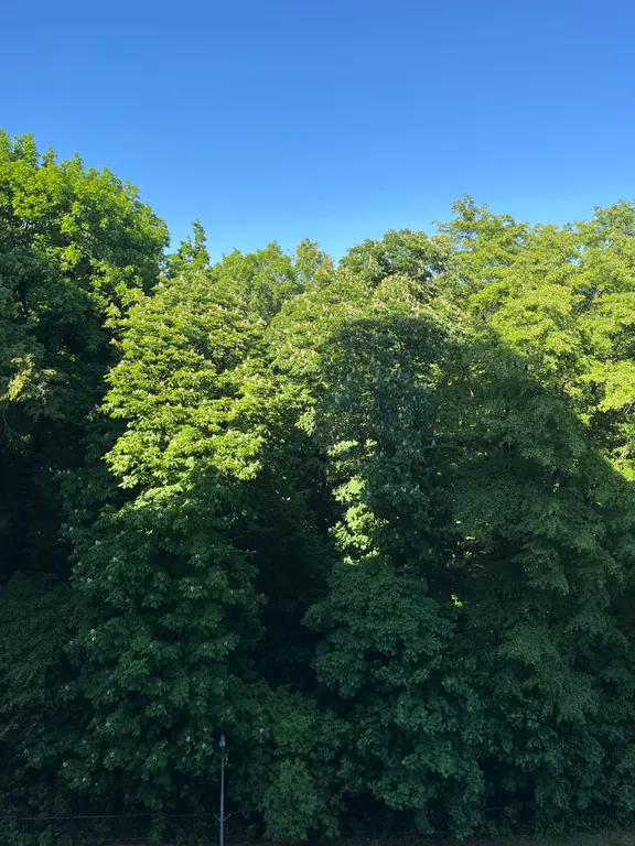 Квартира Просторная квартира с раздельными комнатами рядом с Королевскими ворот — Калининград