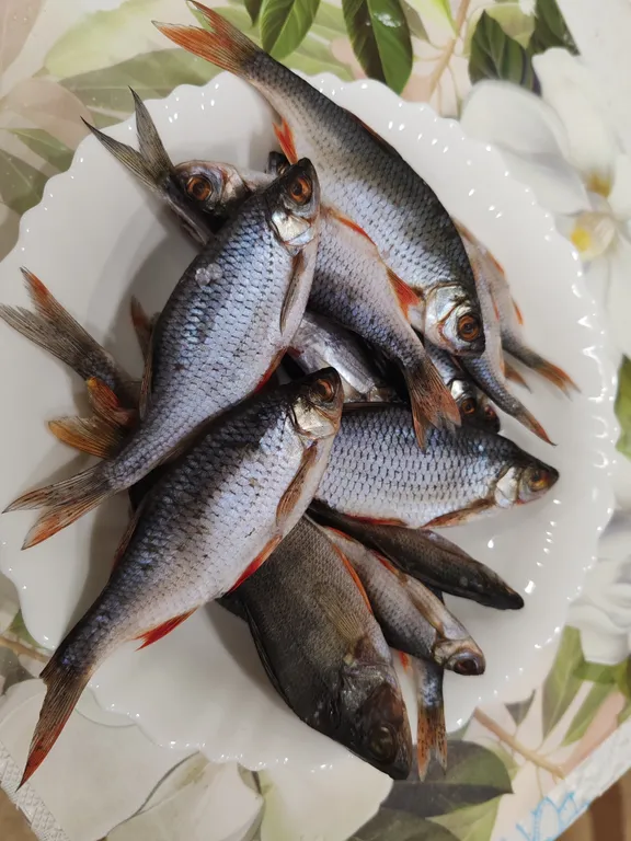 Дом у слияния рек, рядом с историей