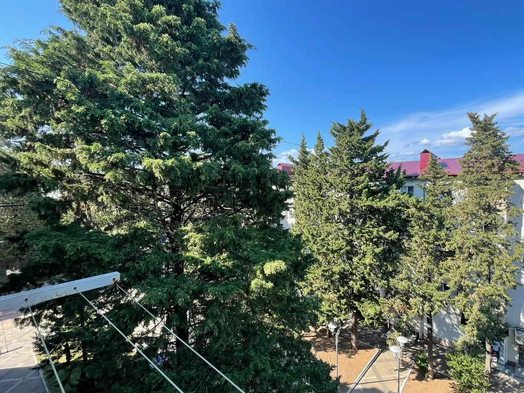 Черепаха - квартира в центре Туапсе