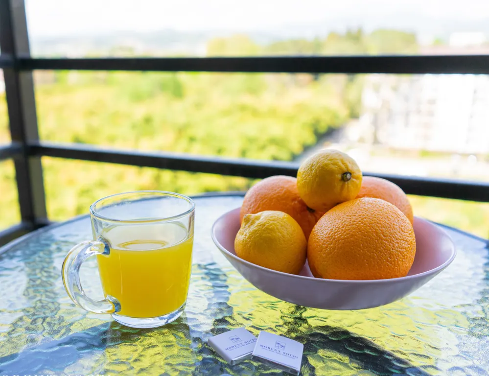 Квартира Квартира Студия с видом на бамбуковую рощу и горы, ЖК Сорренто Парк — Сириус