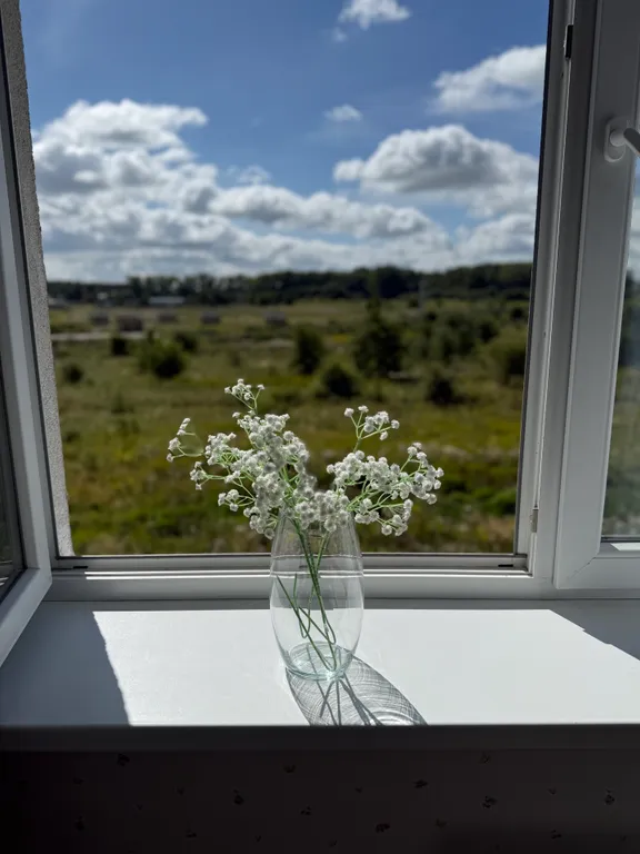 Квартира Уютная квартира на Балтийском море — Пионерский