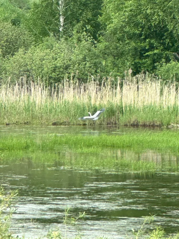 Треугольный дом А-фрейм рица