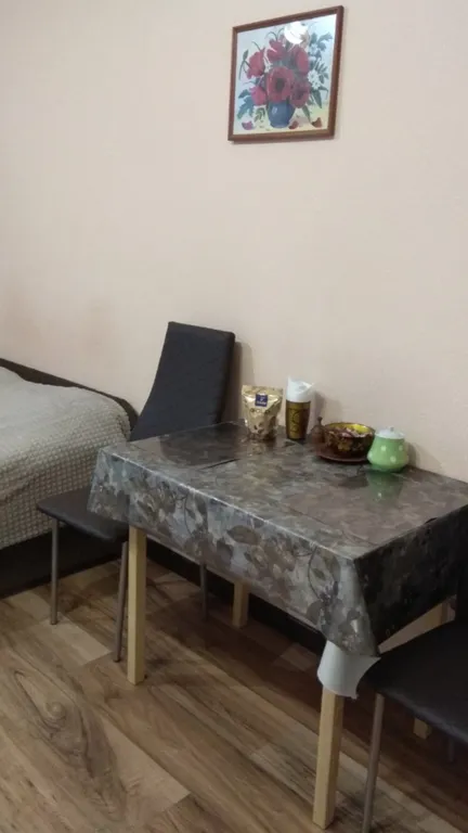 Уютная студия на Неве