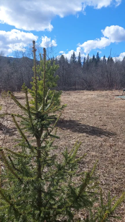 Уютный тихий домик