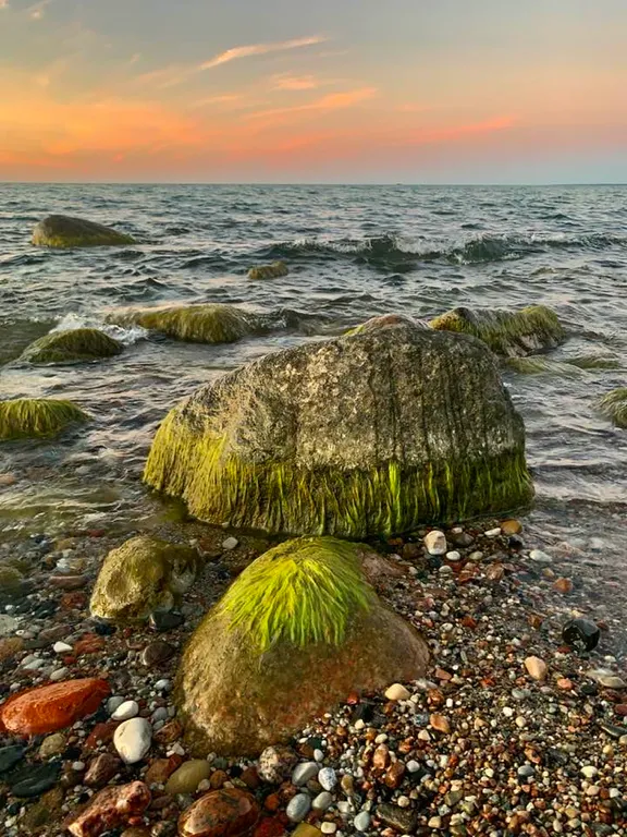 Квартира Апартаменты Анкор — Светлогорск