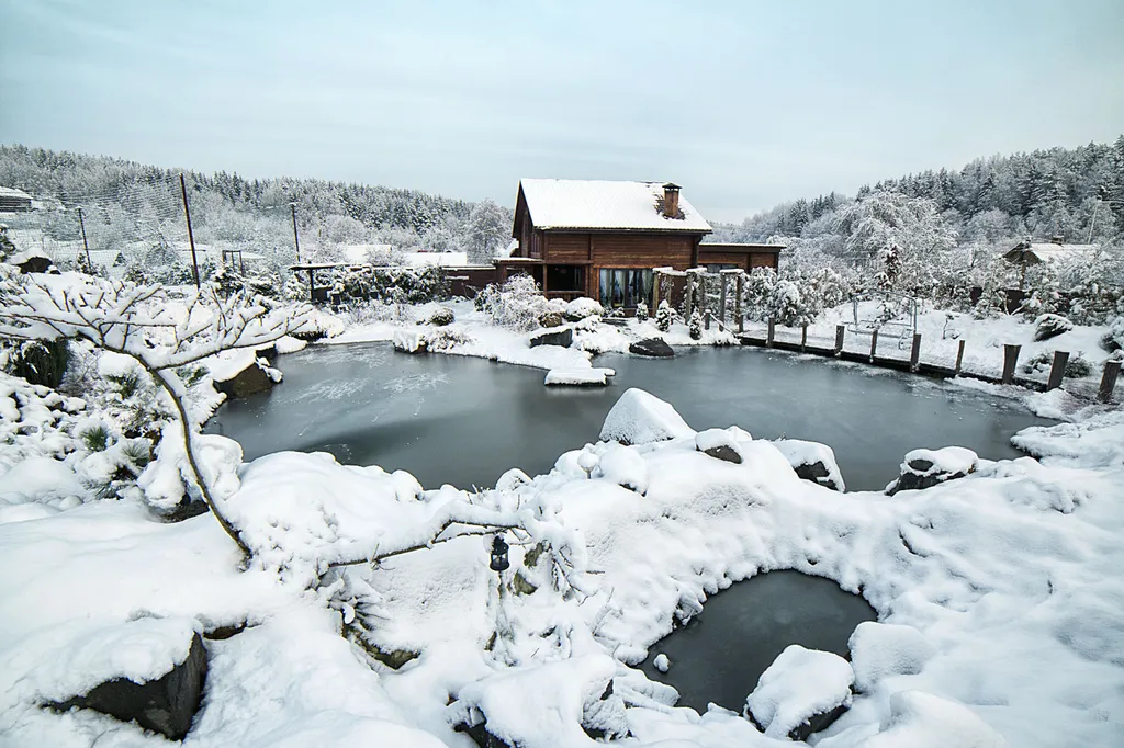 Рыжий кот - Деревянный Дом (WoodHouse)