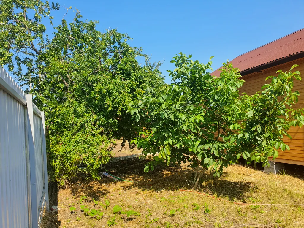 Уютный домик с садом на Азовском море