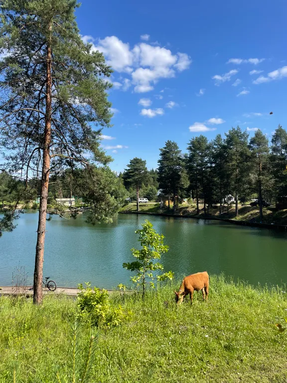 Дом гжельский лес, рядом с рыбалкой