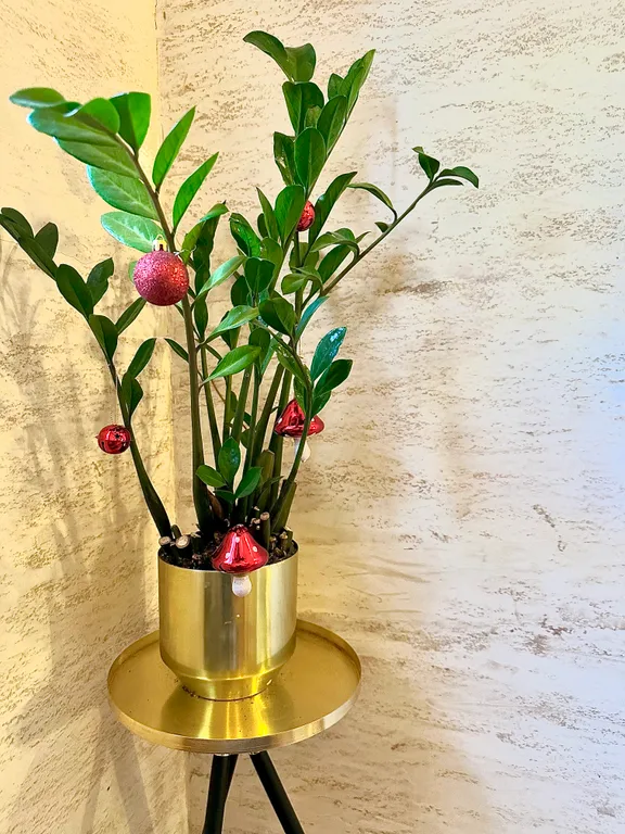 Премиум Дом с шикарными закатами в 10 минутах от центра