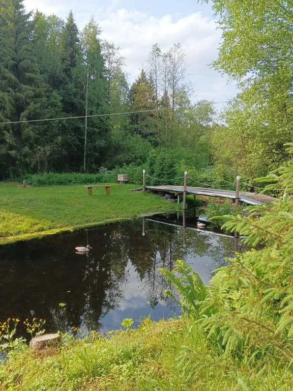 Райский уголок