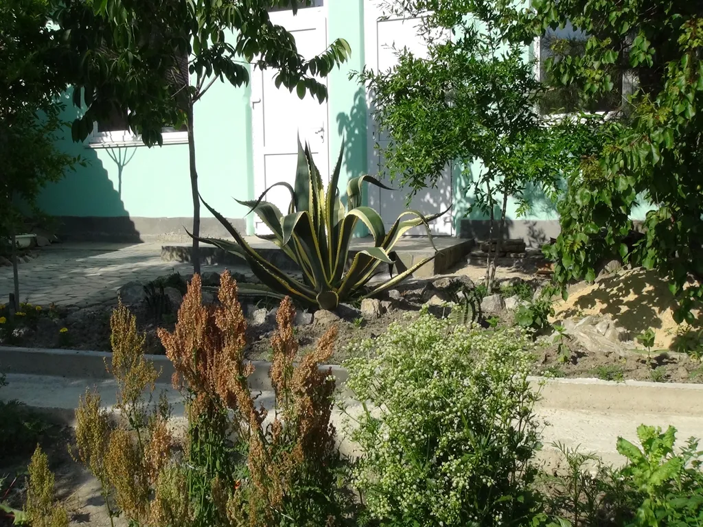 Отдельная часть дома с беседкой в саду