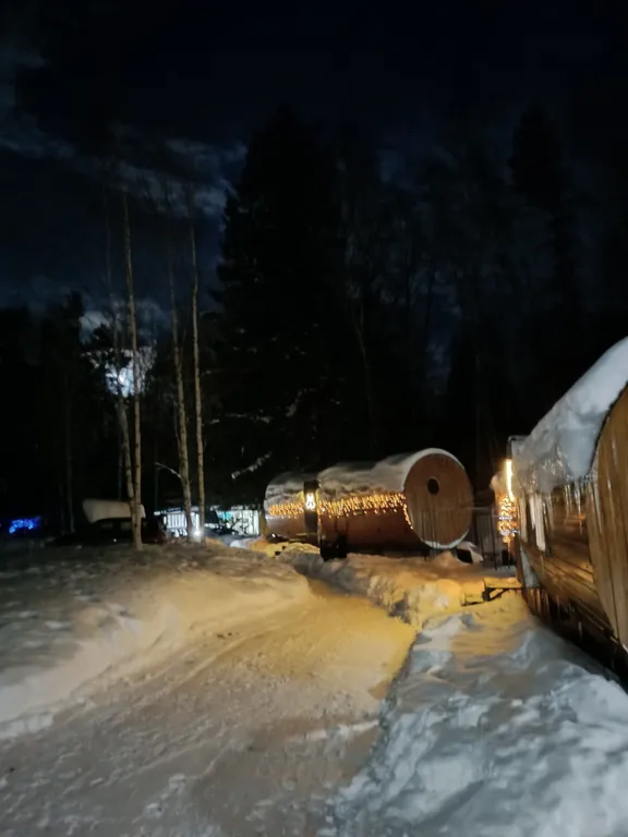 Удивительный дом в лесу