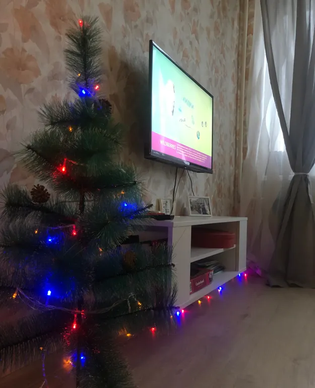 Квартира в центре