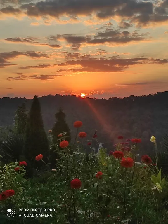 Просторный дом с райским садом на вершине холма с супер видами