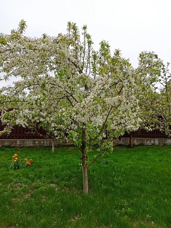 Квартира Квартира Уютный гостевой дом с баней в старом городе — Кашира