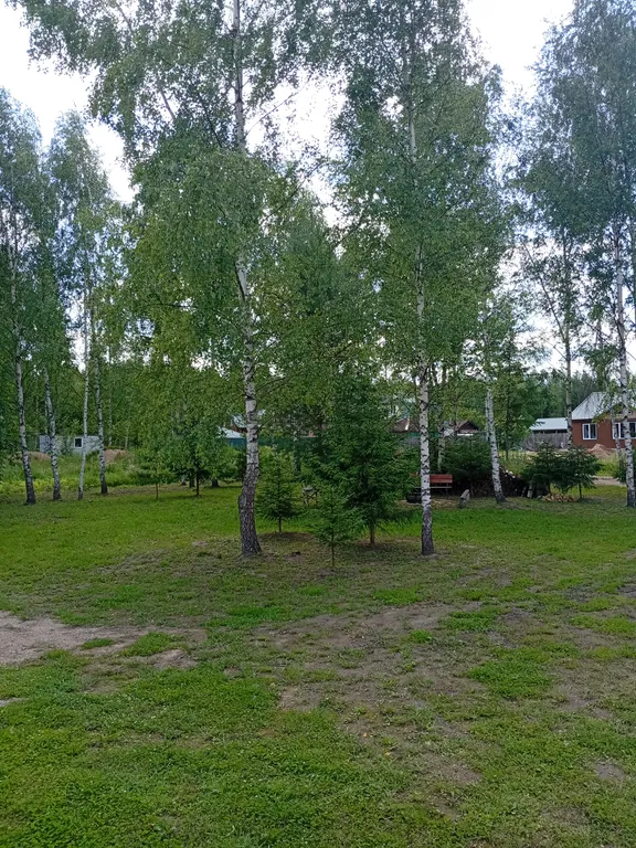 Новый уютный дом