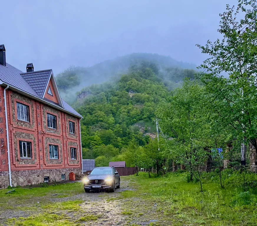 Зелёный берег