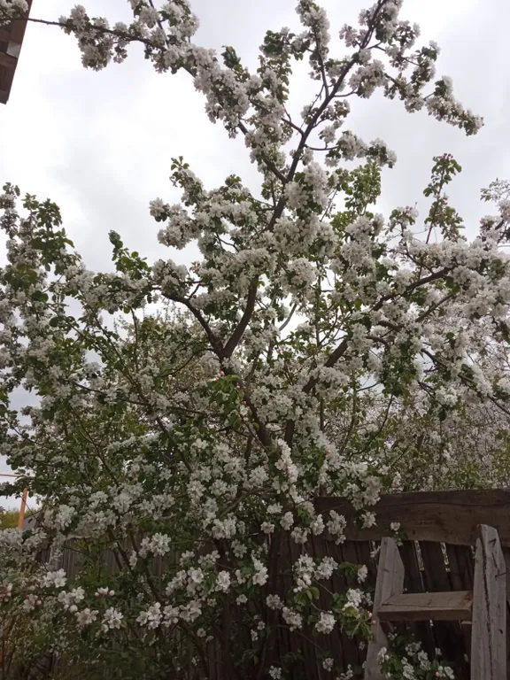 Симпатичненький домик