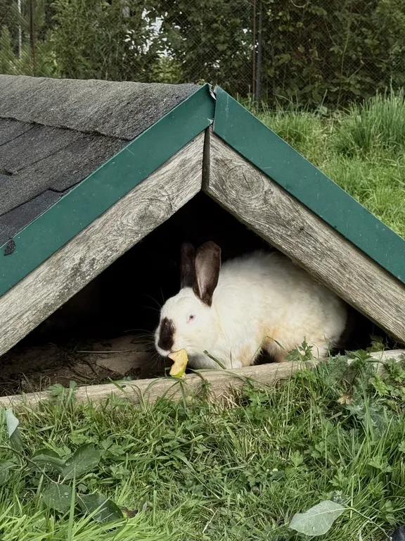 Коттедж Домик хоббита — Синковицы