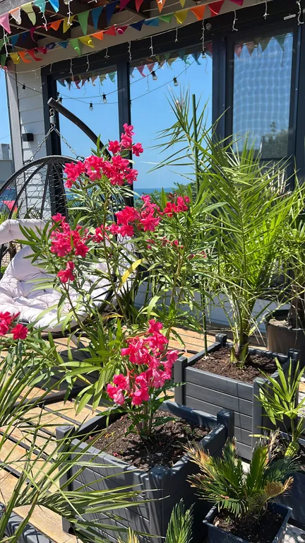 Райское место