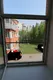 Средняя комната (вид из малого окна и москитная сетка)