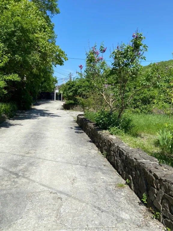 Коттедж Лесная зона — аренда посуточно в Мысхако