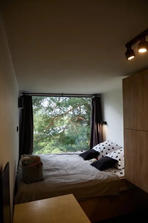 Белый медведь