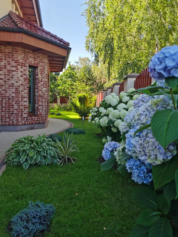 Вилла Форест