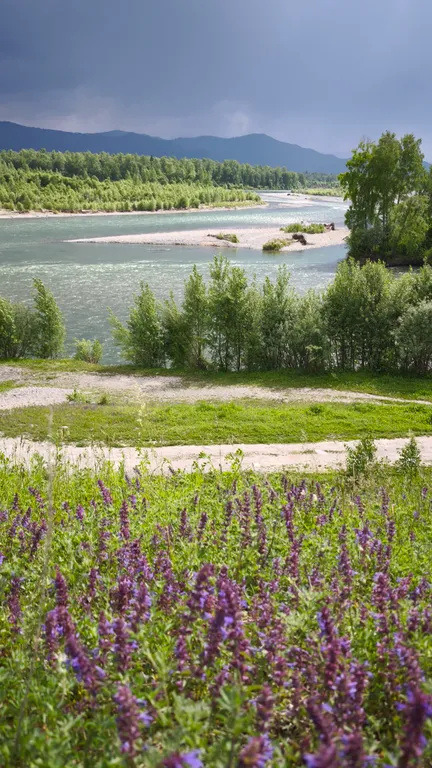 Современный 2-комнатный дом на слиянии рек Тихий берег