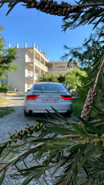 04. Семейный люкс new у бассейна, Алахадзы