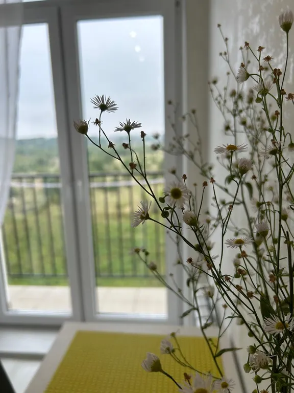 Квартира у моря с новым ремонтом