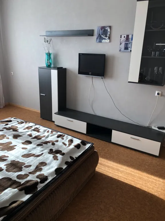 Квартира Уютная просторная квартира в тихом районе города — Калининград