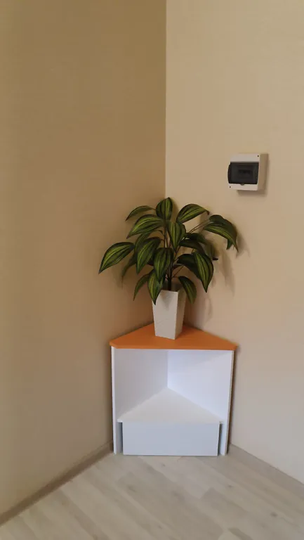 Таунхаус с участком