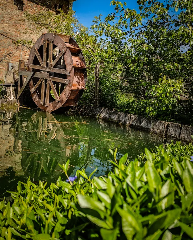 Гостевой дом Горная Роза