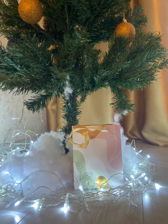 Квартира Апартаменты Золотой Полулюкс в самом центре — Омск