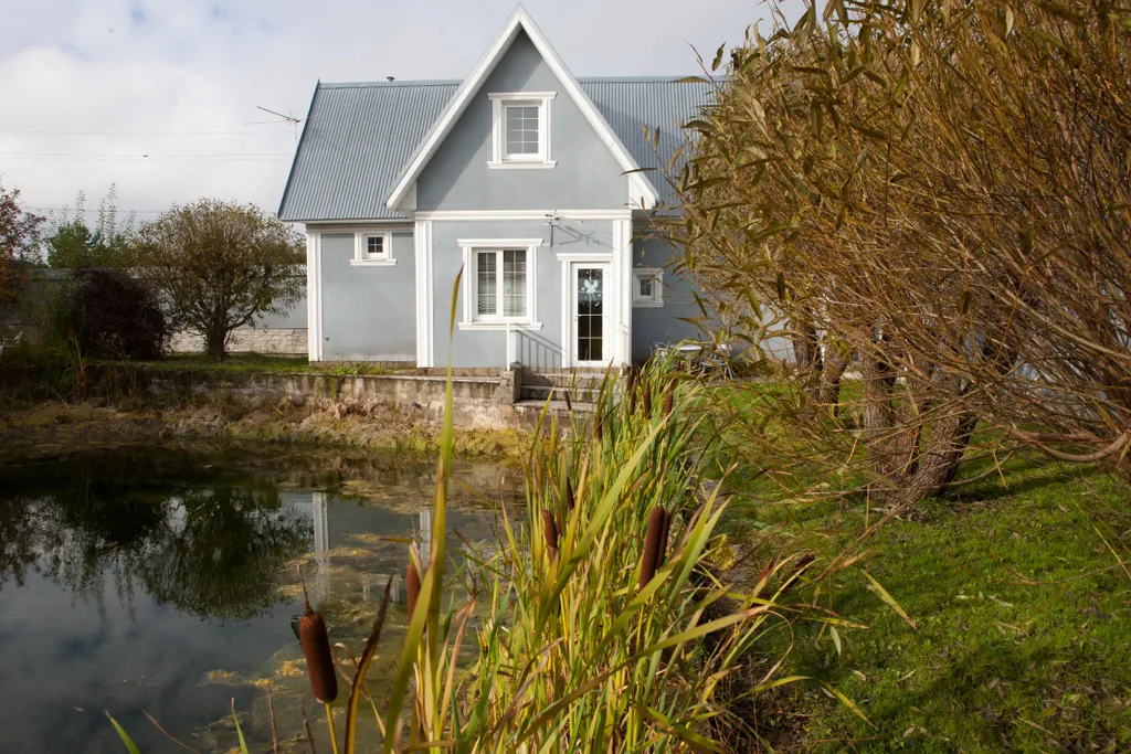 Коттедж Уютный коттедж у пруда — Борзые