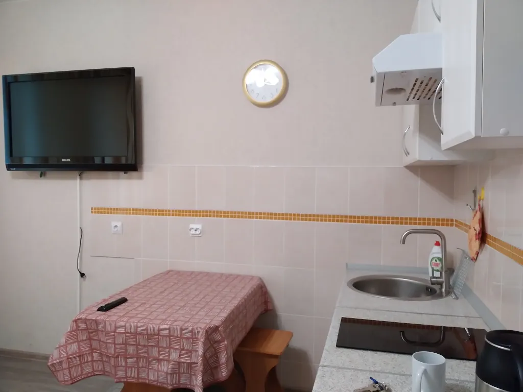 Студия у метро Девяткино