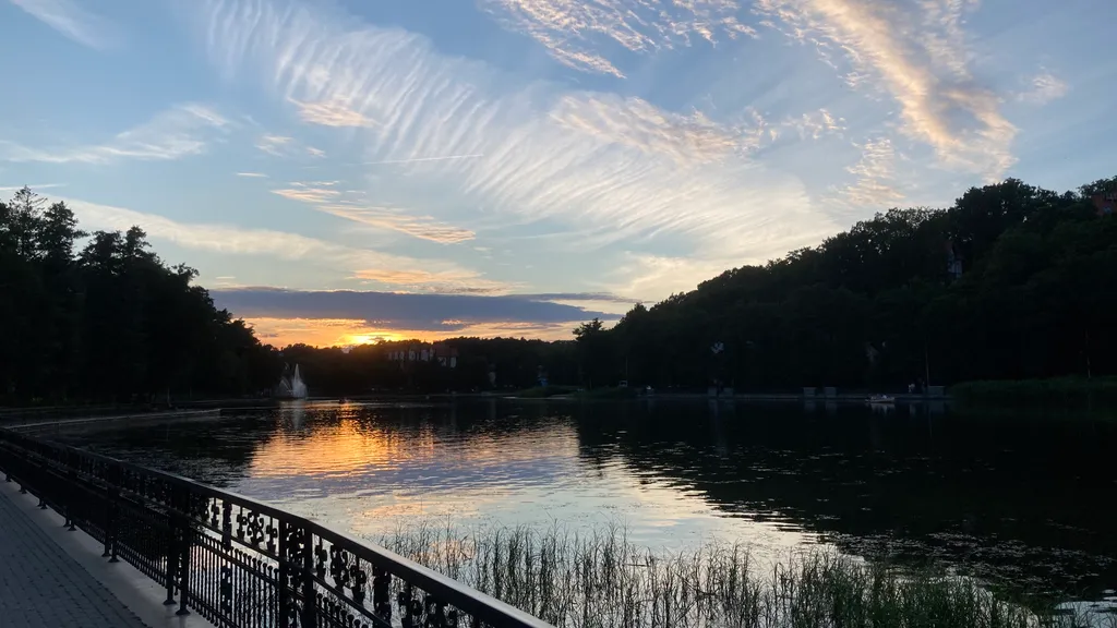 Квартира Квартира В Гостях у Зверяток — Светлогорск