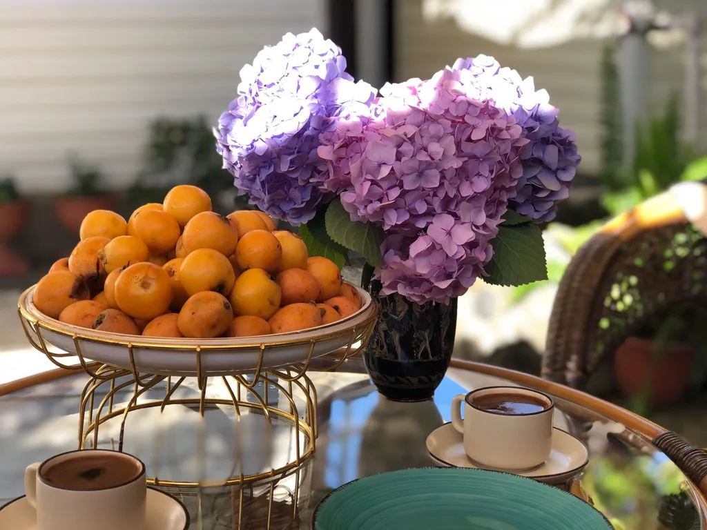 Комнаты с видом на море и горы