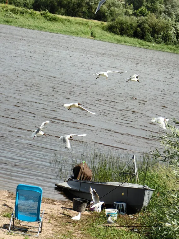 Гостевой дом на берегу реки